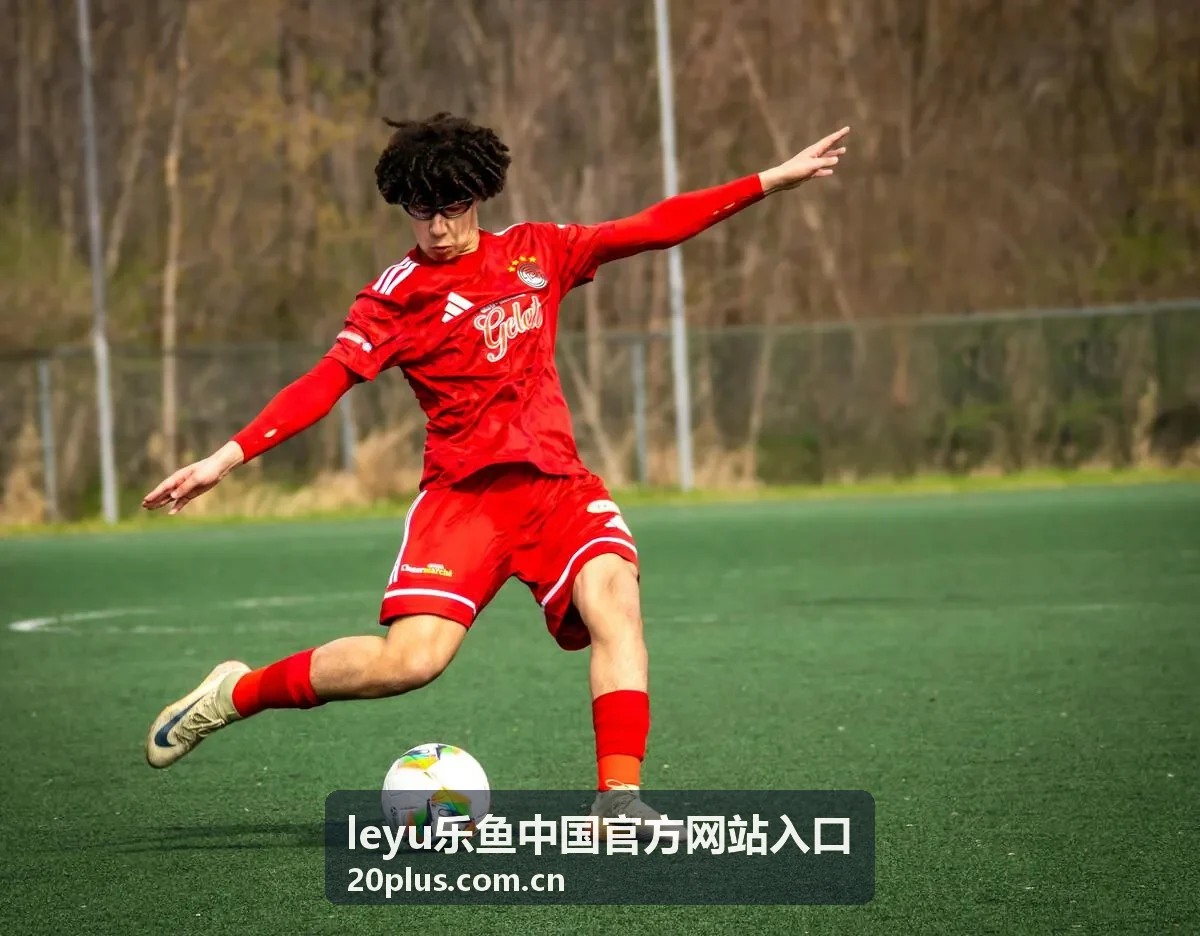 新手入门指南 leyu乐鱼中国官方网站入口